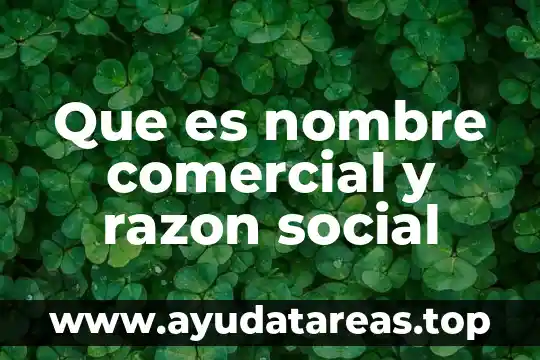 Que es paz social de acuerdo a la onu 5 Que es nombre comercial y razon social