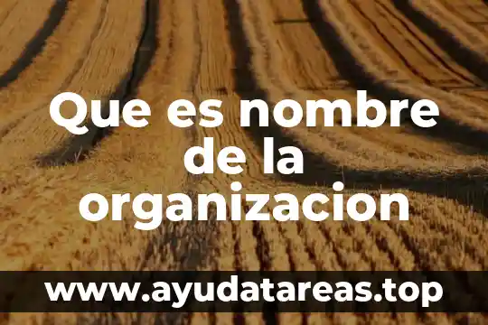 Qué es un número complejo 8 Que es nombre de la organizacion