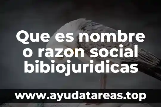 Que es un gupo social 5 Que es nombre o razon social bibiojuridicas