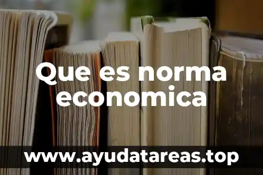 Que es norma economica