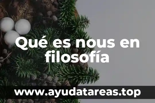 Qué es nous en filosofía