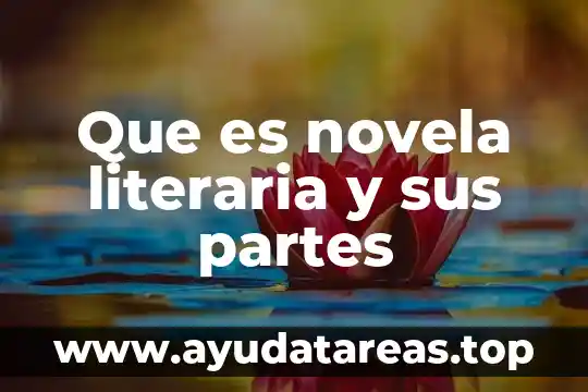 Que es novela literaria y sus partes