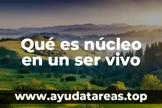 Qué es núcleo en un ser vivo