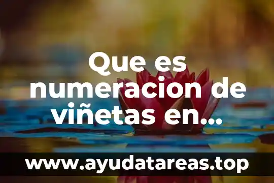 Que es un prebiotico en la calidad del agua 8 Que es numeracion de viñetas en word
