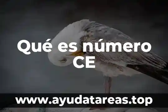 Que es que ce le stage commo mode de apprentissage 6 Qué es número CE