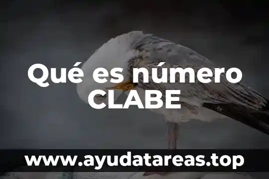 Que es un numero negativo significado 5 Qué es número CLABE