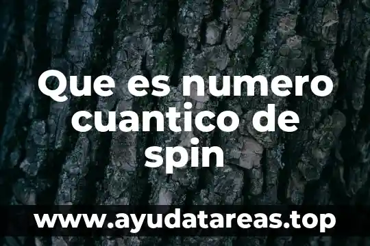 Que es un numero primo compuesto 8 Que es numero cuantico de spin