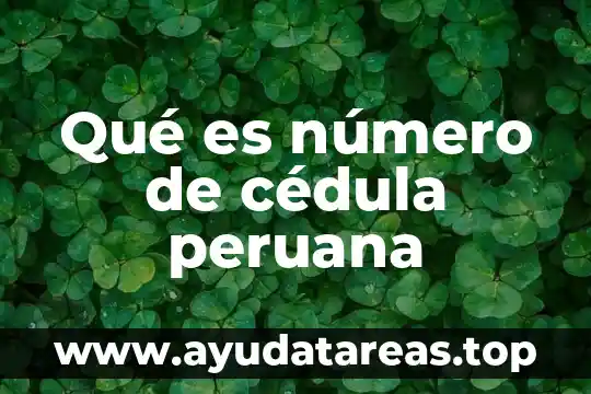 Qué es número de identificación fonacotr 7 Qué es número de cédula peruana