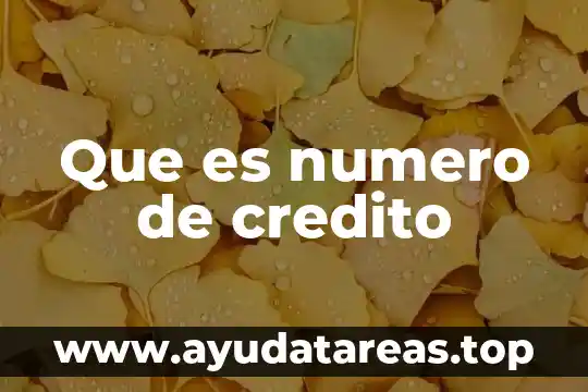 De qué es este número 8141707631 6 Que es numero de credito
