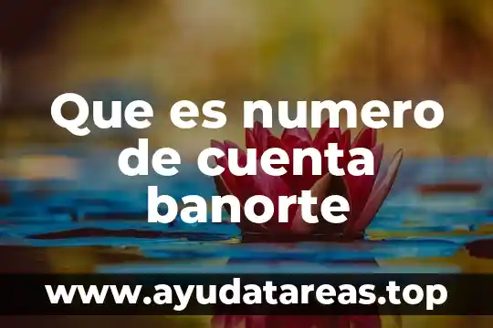Que es numero de cuenta banorte