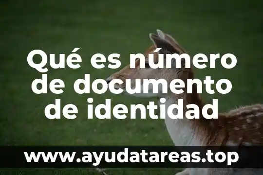 Número monográfico que es 8 Qué es número de documento de identidad