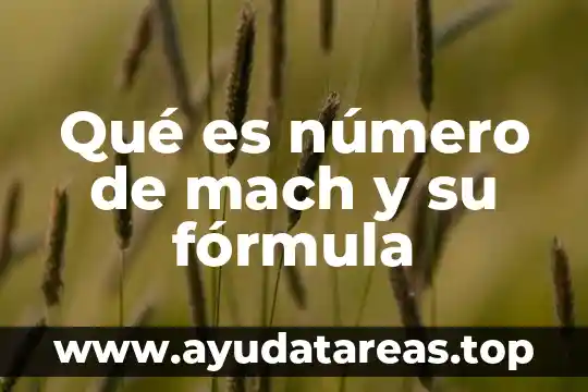 Que es una formula desarrollada pintura acrilica 7 Qué es número de mach y su fórmula