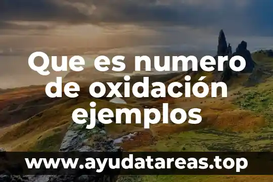 Qué es número de documento de identidad 6 Que es numero de oxidación ejemplos