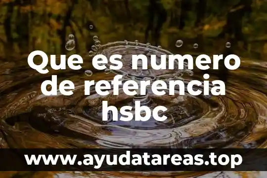 Que es referencia diccionario 6 Que es numero de referencia hsbc