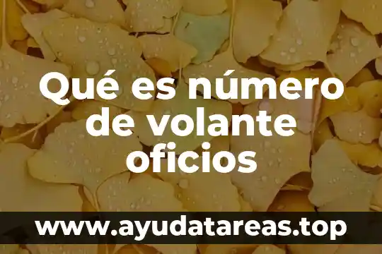 Por que es importante que dejen el pañal 8 Qué es número de volante oficios