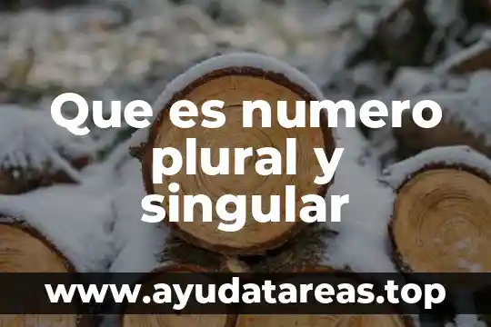 Que es ser una persona plural 5 Que es numero plural y singular