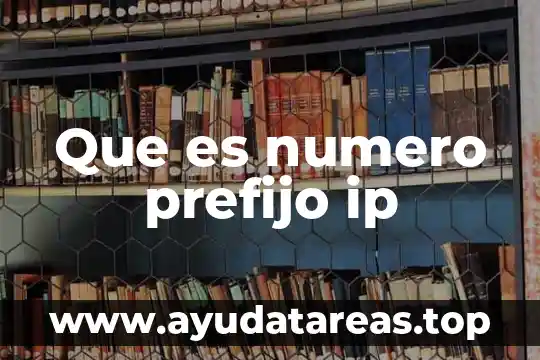 Qué es número de documento de identidad 4 Que es numero prefijo ip