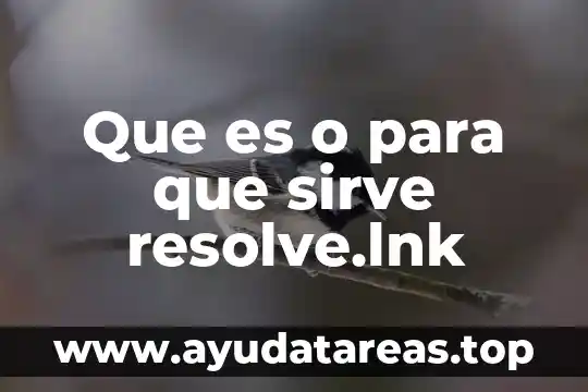 Que es o para que sirve resolve.lnk