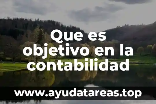 Que es un asiento compuesto en contabilidad 5 Que es objetivo en la contabilidad
