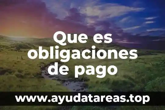 Que es obligaciones derecho 4 Que es obligaciones de pago