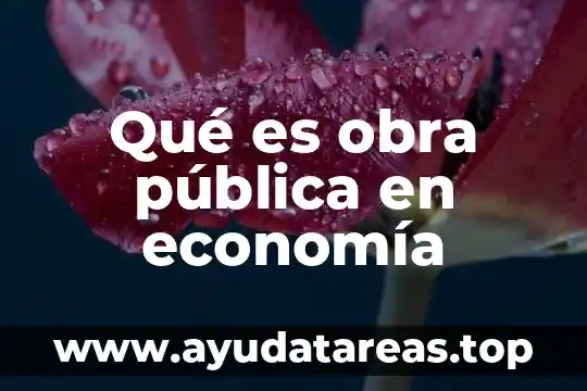Qué es obra pública en economía