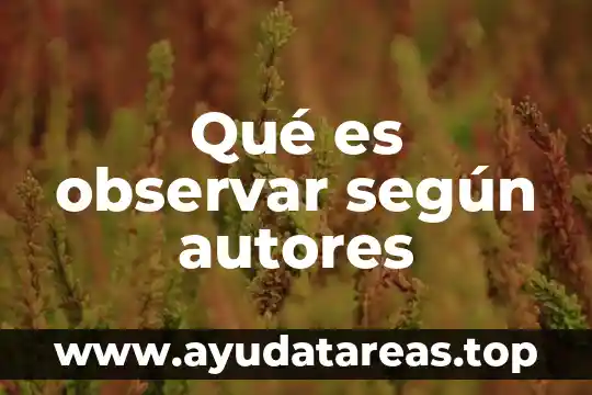 Qué es observar según autores