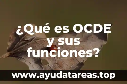 ¿Qué es OCDE y sus funciones?