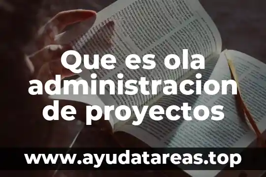 Que es isomeria y sus tipos 7 Que es ola administracion de proyectos
