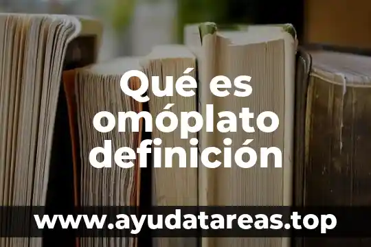 Qué es omóplato definición