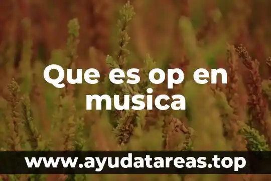 Qué es la música y tipos de música 5 Que es op en musica