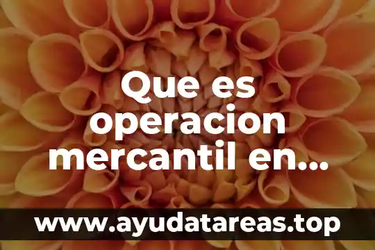 Que es sistema de operacion 6 Que es operacion mercantil en contabilidad