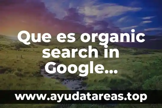 Que es organic search in Google Analytics