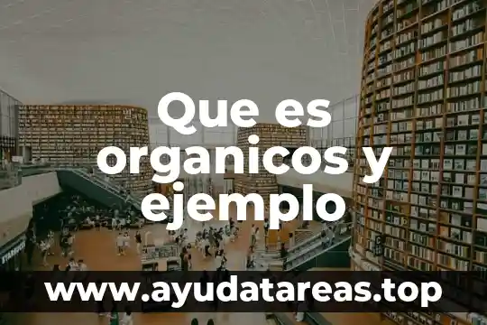 Qué es orgánicos y inorgánicos 6 Que es organicos y ejemplo