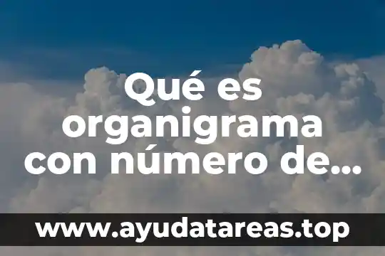 Qué es la estructura organizacional y organigrama diferencias 6 Qué es organigrama con número de empleados