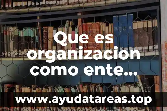 Que es organizacion como ente social