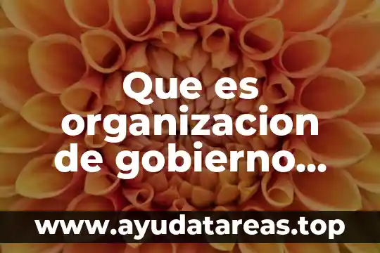 Que es distribucion y organizacion 3 Que es organizacion de gobierno que regule los cafes