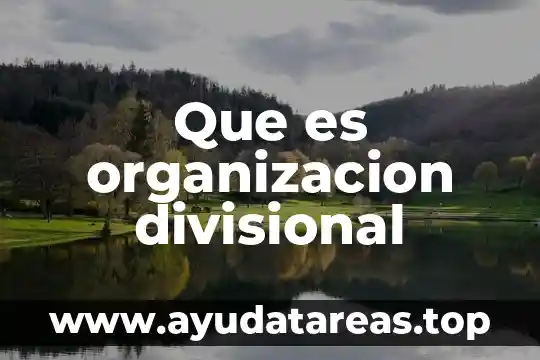 Que es distribucion y organizacion 5 Que es organizacion divisional
