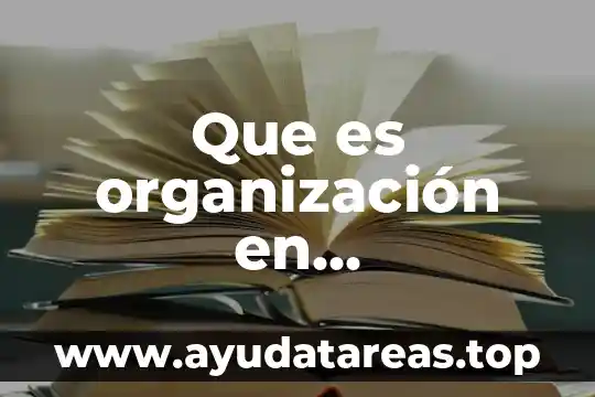 Que es tipos de organizacion 7 Que es organización en administracion de empresas