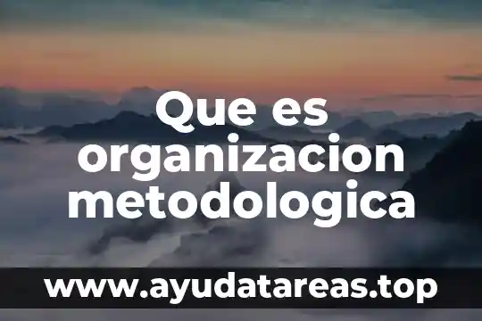 Que es organizacion metodologica