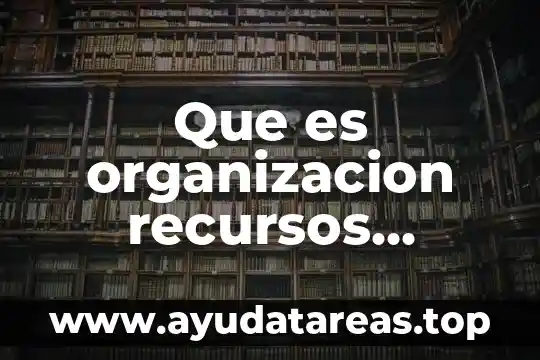 Que es organizacion recursos humanos
