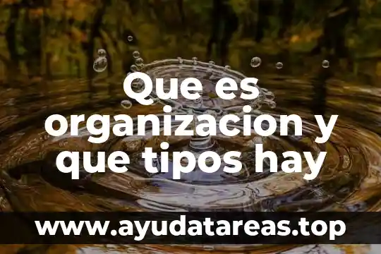 Que es tipos de organizacion 3 Que es organizacion y que tipos hay