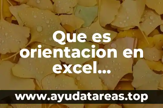 Qué es un proceso de orientación vocacional 8 Que es orientacion en excel comandos