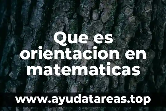 Qué es un proceso de orientación vocacional 6 Que es orientacion en matematicas