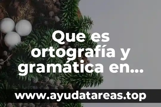 Que es ortografía y gramática en word
