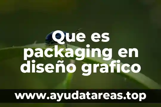 Que es anomalia en el diseño grafico significado 8 Que es packaging en diseño grafico