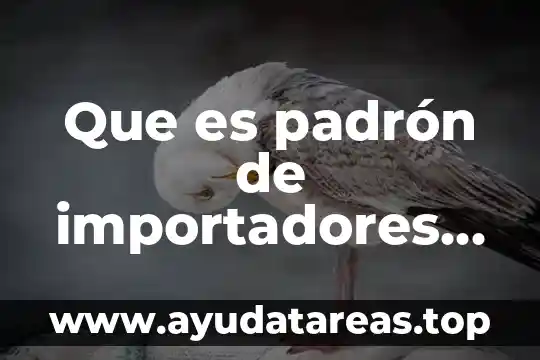 Que es padrón de importadores de sectores específicos