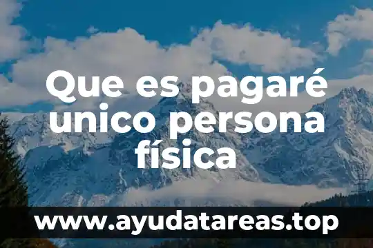 Que es pagaré unico persona física