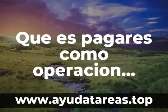 Que es sistema de operacion 4 Que es pagares como operacion activa