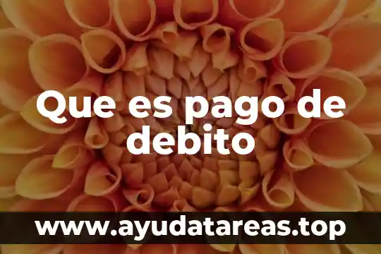 Que es el nombre en la tarjeta de debito 6 Que es pago de debito
