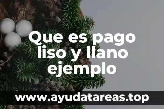 Que es pago liso y llano ejemplo